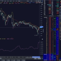 etf历史份额日频更新