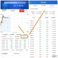 为什么说行情数据(Level-1&Level-2)是高频交易的旗手？