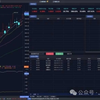 《QMT量化实战系列》支持自定义筛选与排序的多因子策略，实测年化收益超100%