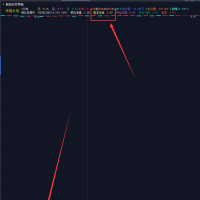 回测画线出现一个值为1的基准净值线，导致K线被压缩