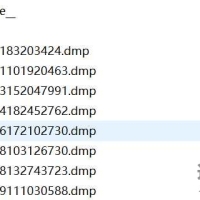 【done】原生python为什么每次运行还会产生一个.dmp文件，如何去除